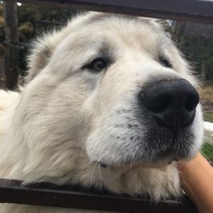 Meet your Posher, Debra